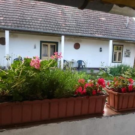 Terez Haza Hotel Pazmand Luaran gambar